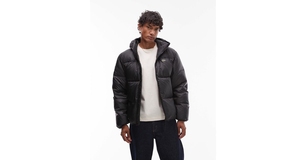 Lacoste – steppjacke in Grau für Herren Lyst AT