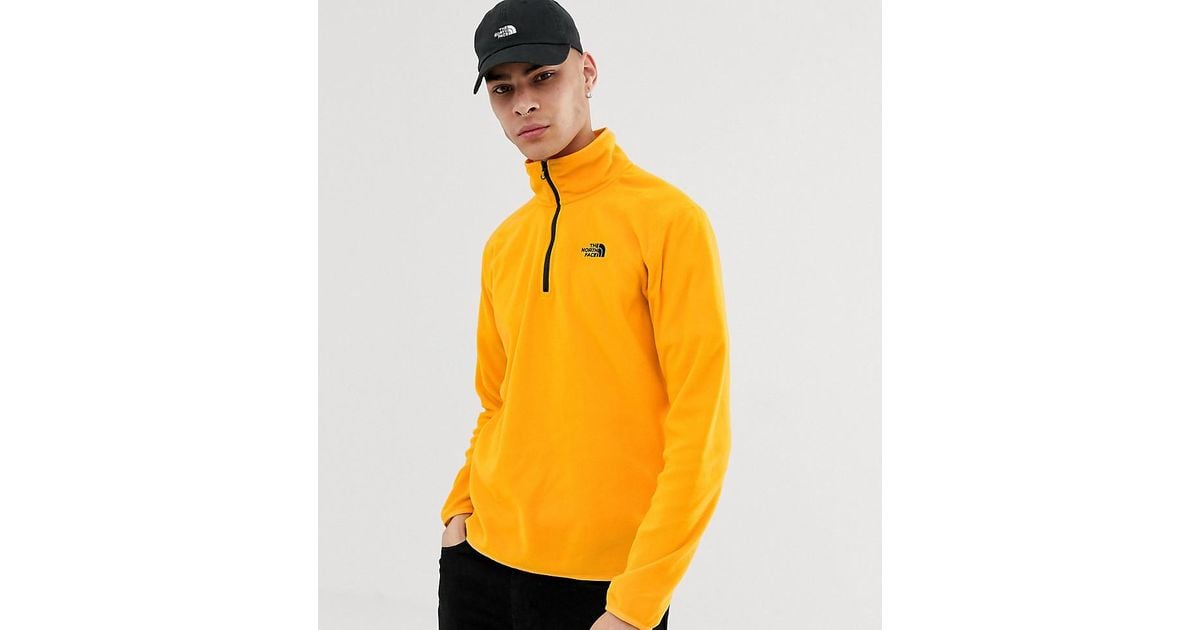 north face borg fleece