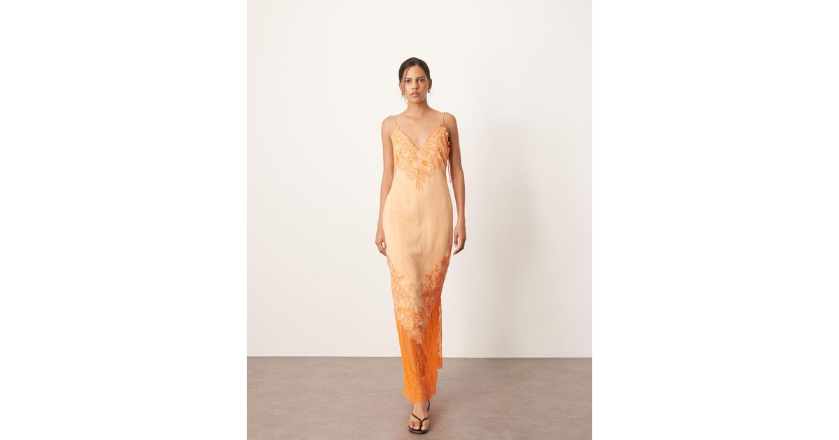 ARRANGE Applique Embroidered Lace Panelled Cami Maxi Dress in Natural | Lyst Canada ARRANGE Applique Embroidered Lace Panelled Cami Maxi Dress in Natural | Lyst Canada