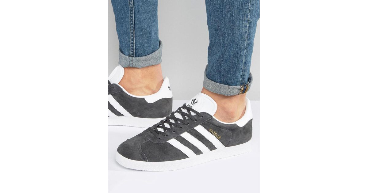 gazelle gray