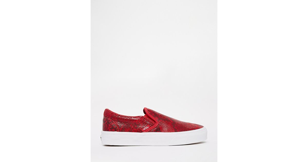 Vans shop pebble snake