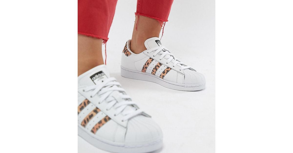 Adidas Neo Cloudfoam Black Leopard Sneakers | Leopard sneakers, Sneakers,  Sneaker shopping