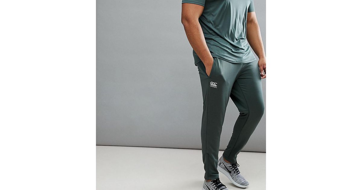 canterbury tapered joggers