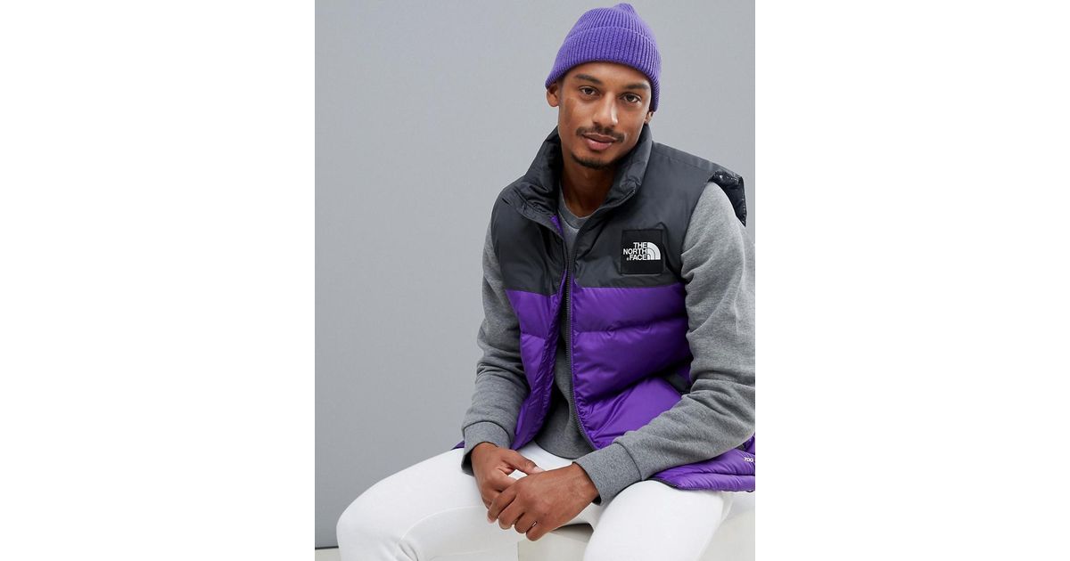 the north face 1992 paisley nuptse