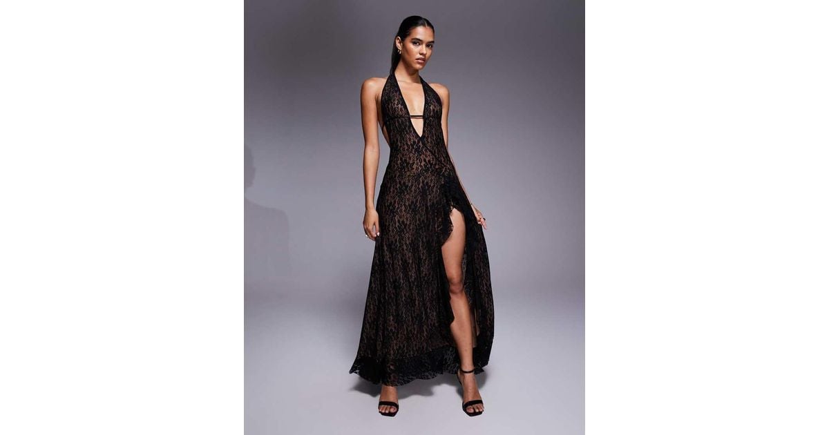 I.AM.GIA Irisia Lace Plunge Halterneck Backless Thigh Split Maxi Dress in  Blue