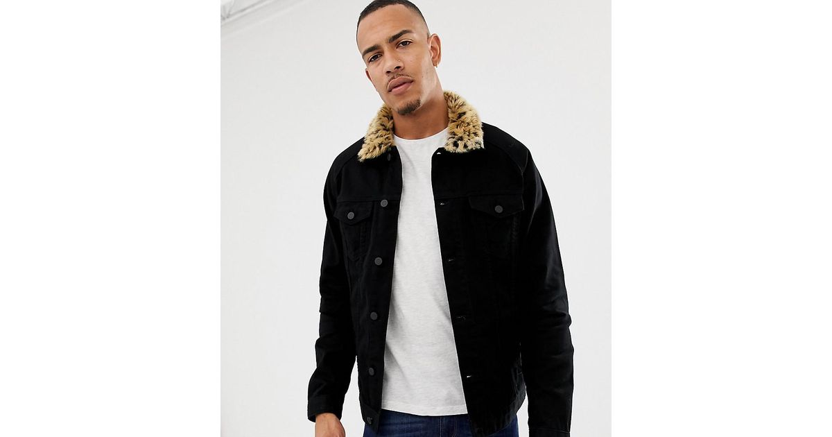 leopard collar jacket