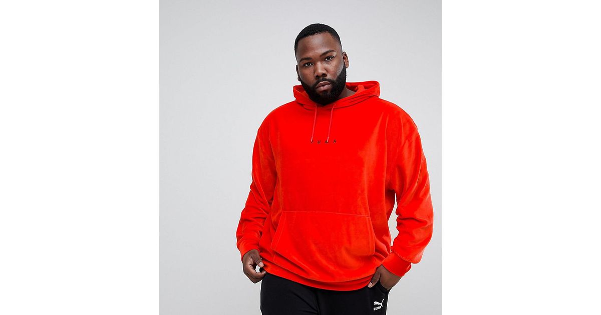 puma velvet pullover