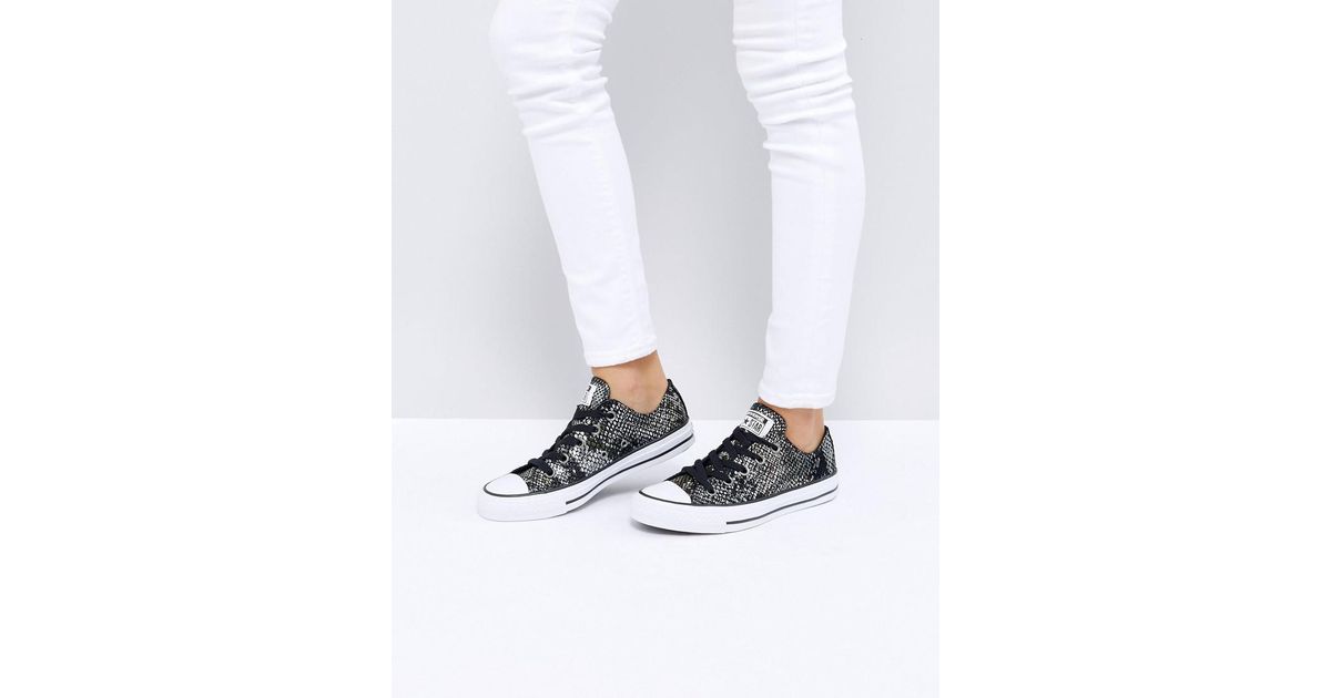 all star snake print