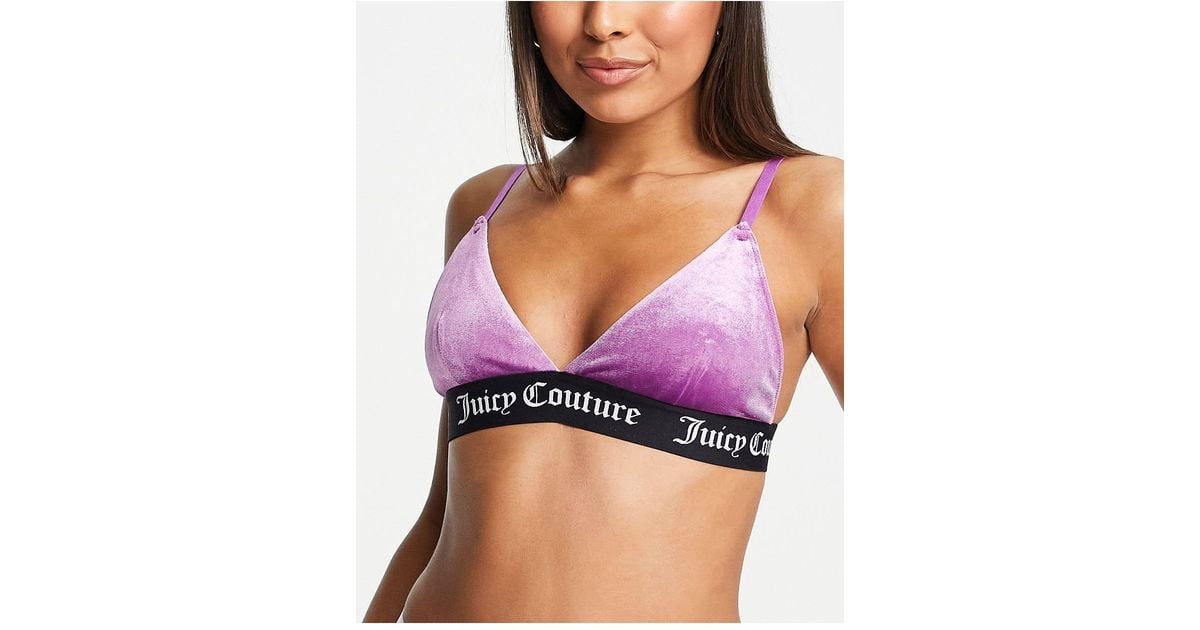 Juicy Couture Velvet Triangle Bra With Branded Elastic in Black