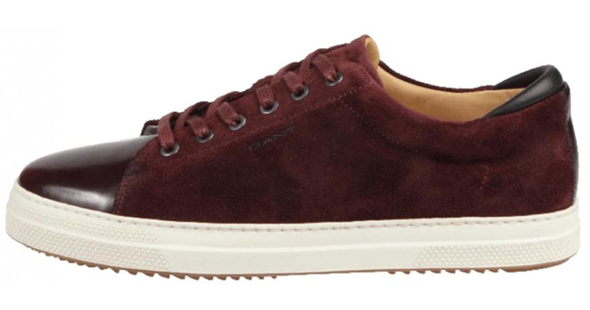 GANT Star Suede And Leather Sneakers in 