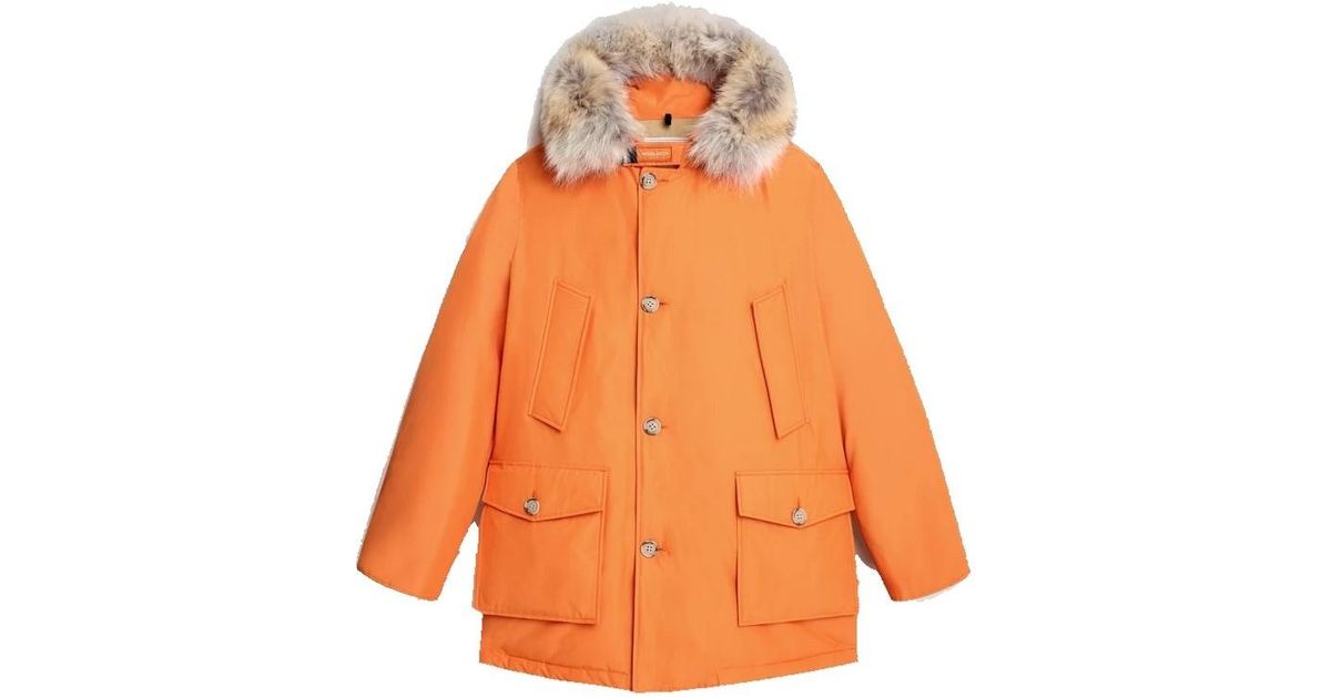 holly arctic parka woolrich