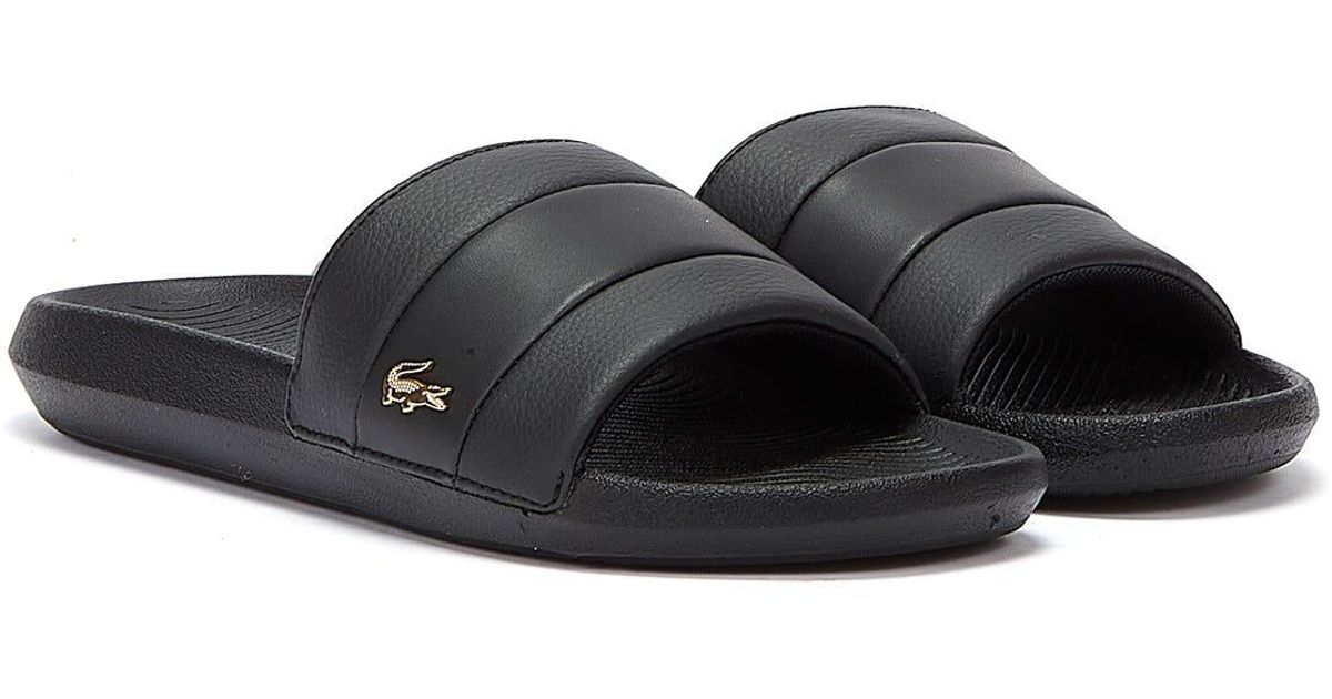 croco slide 120