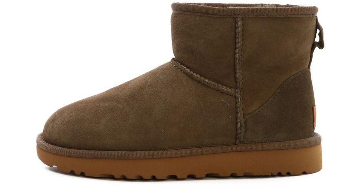 olive green classic uggs