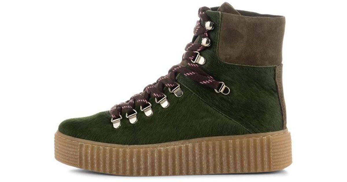 shoe the bear hiking boots