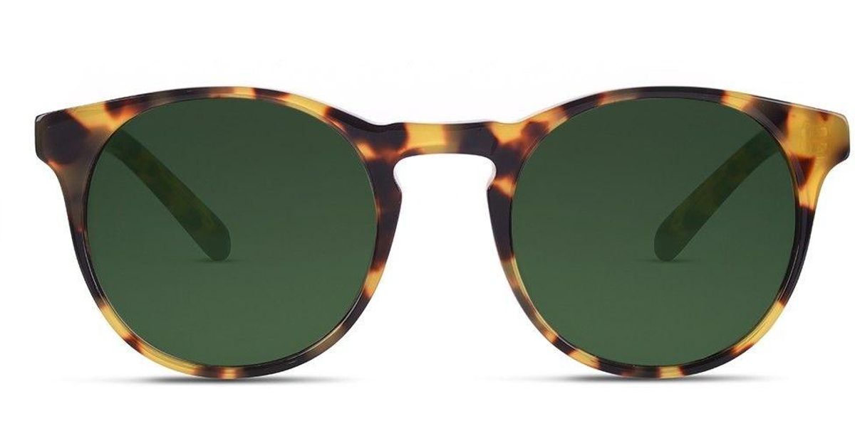 Finlay & Co. Percy Light Tortoise With Green Lenses | Lyst