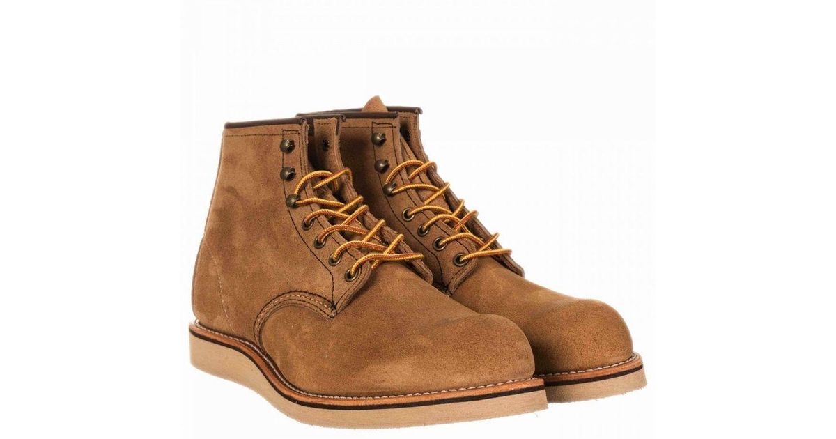 red wing rover muleskinner