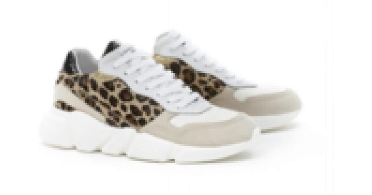 serafini oregon leopard