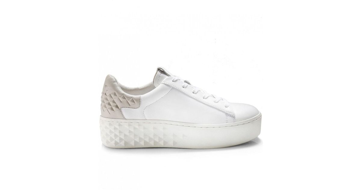 ash detox sneaker