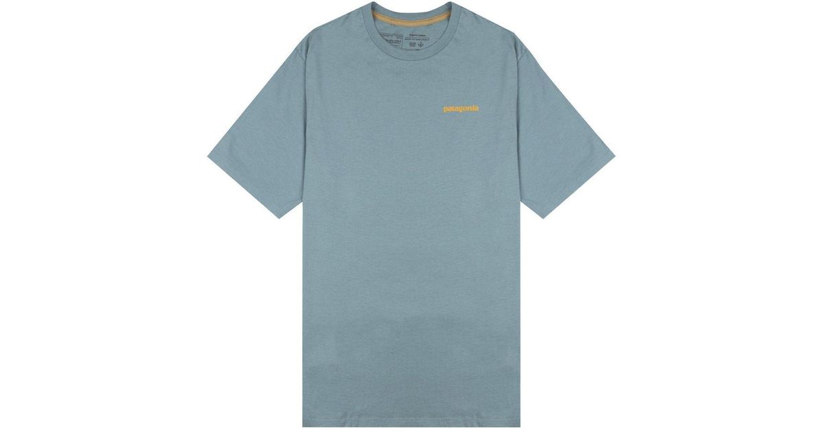 Patagonia Flying Fish Organic T-shirt 