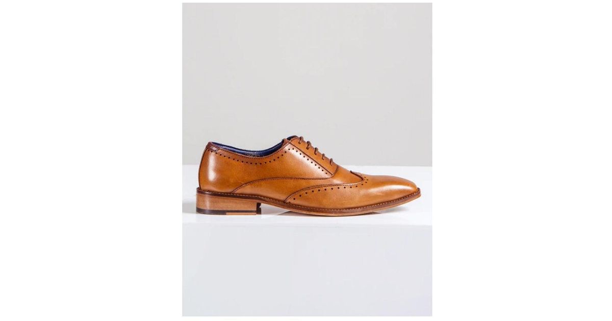 carson wingtip oxford