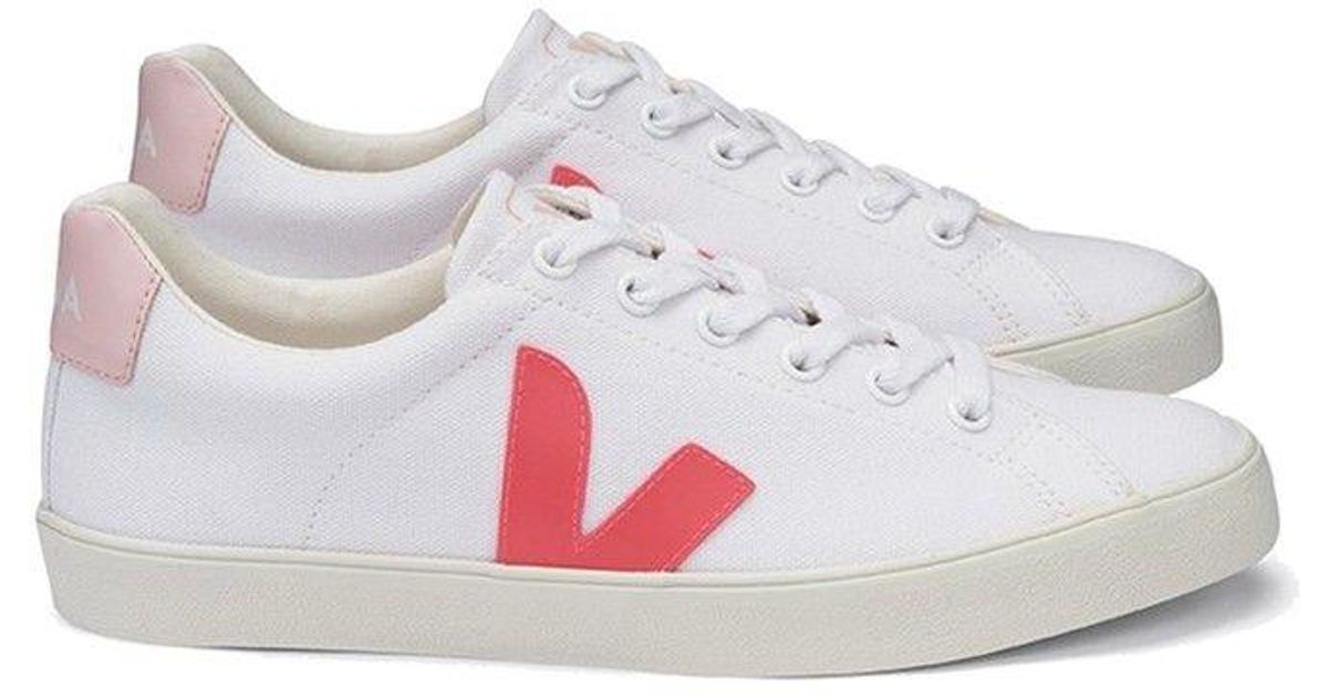 veja esplar rose