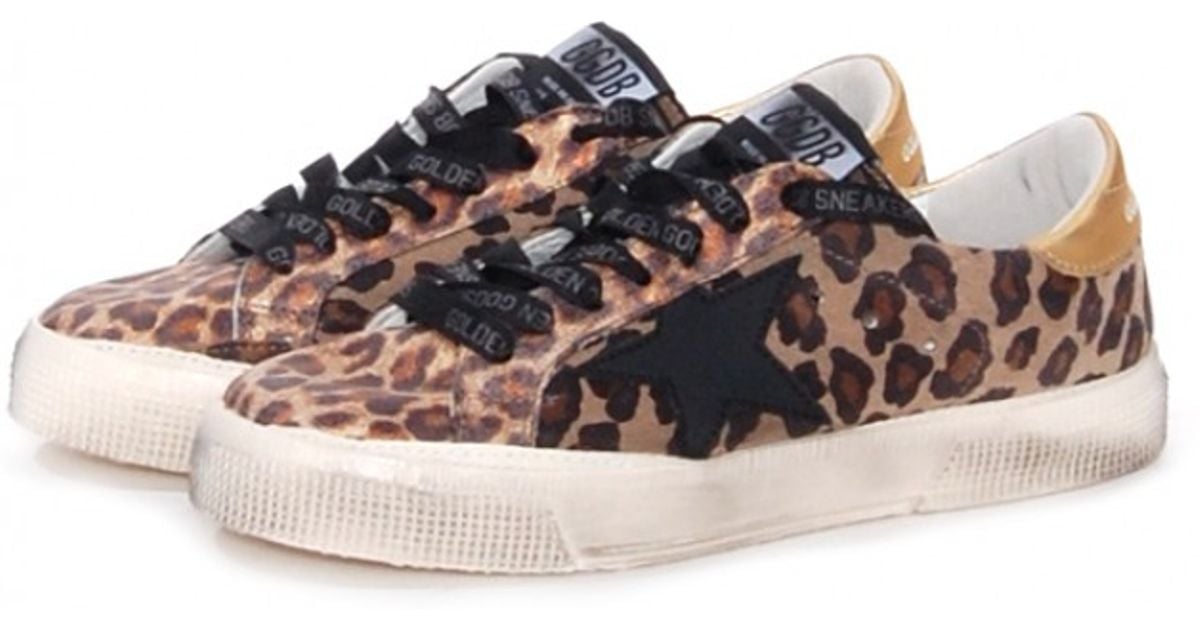 canvas golden goose