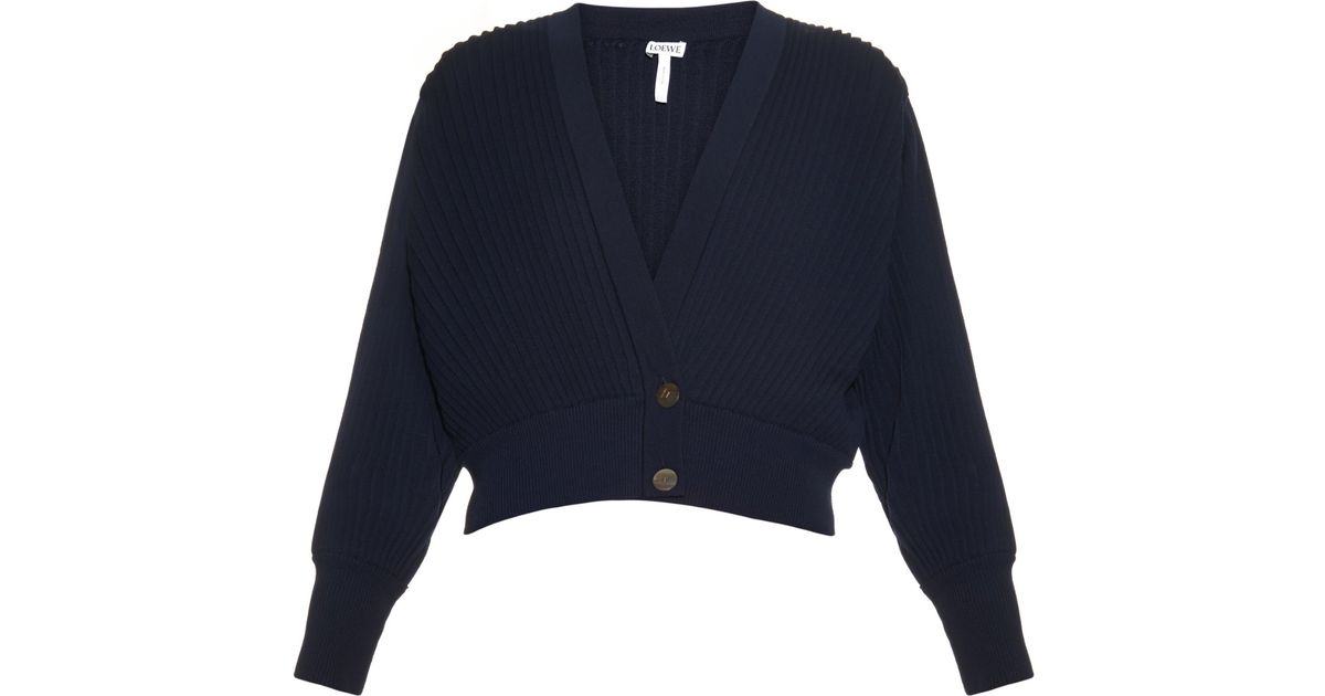 loewe cropped sweater