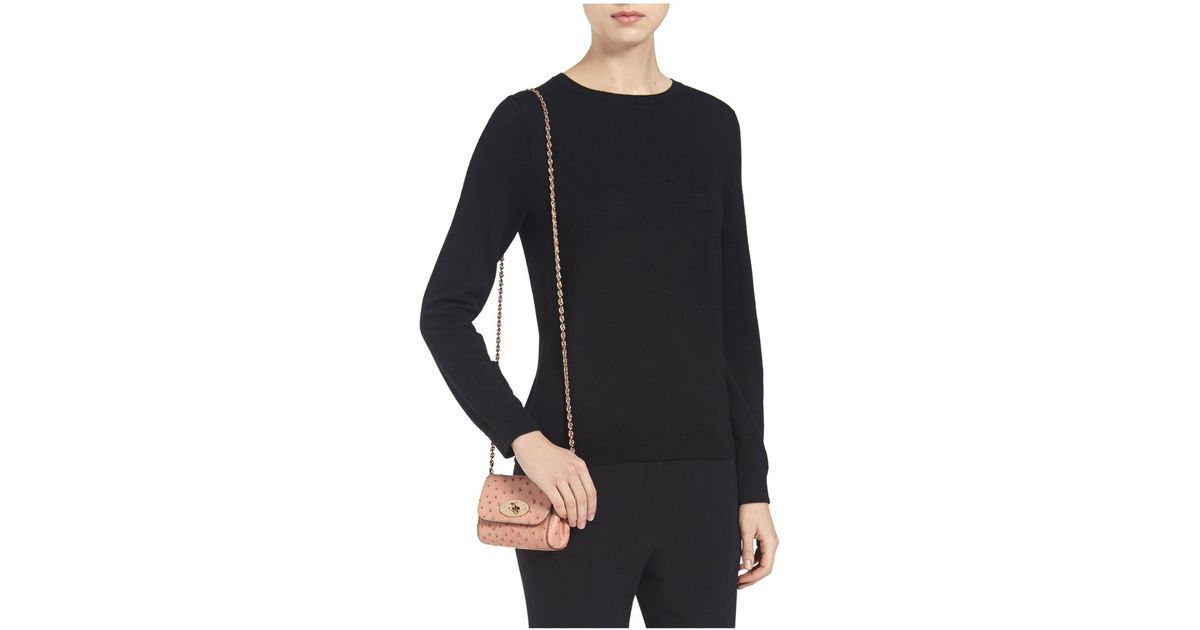 mulberry mini lily