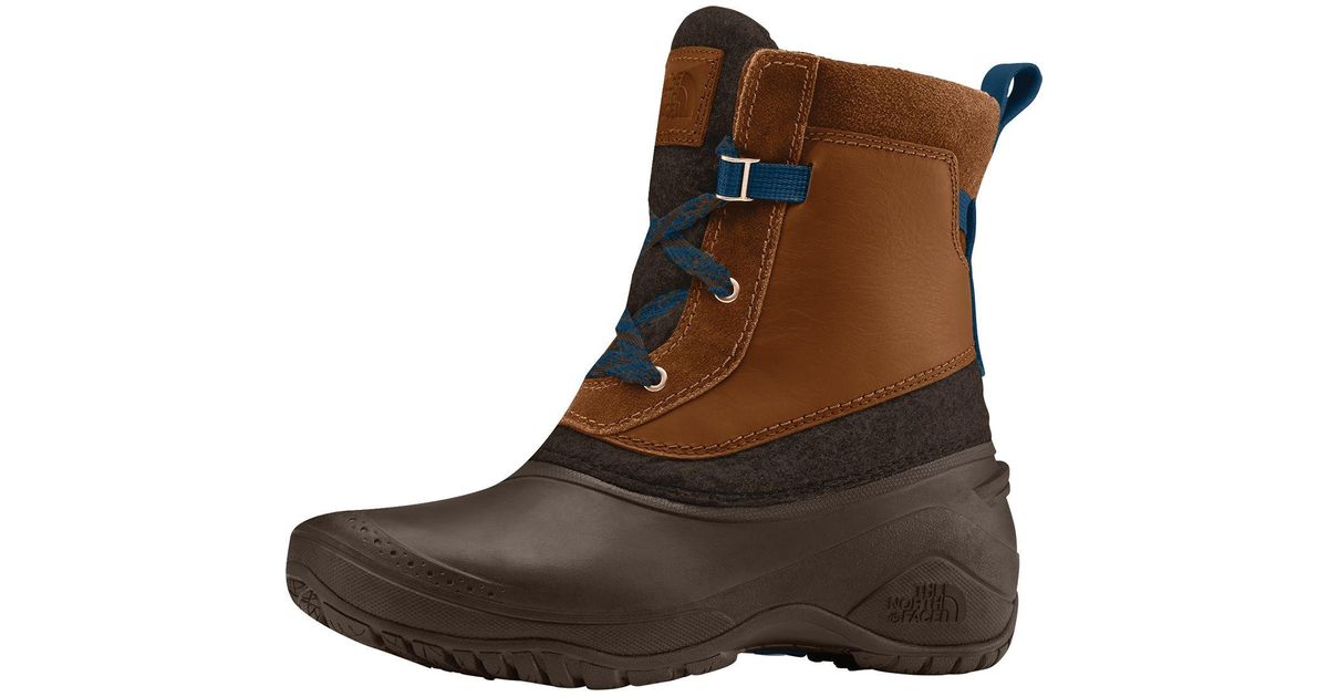 shellista shorty