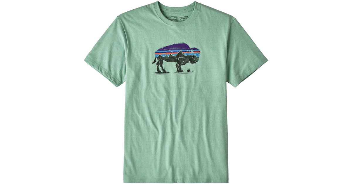 Patagonia Bison T Shirt Deals, 54% OFF 