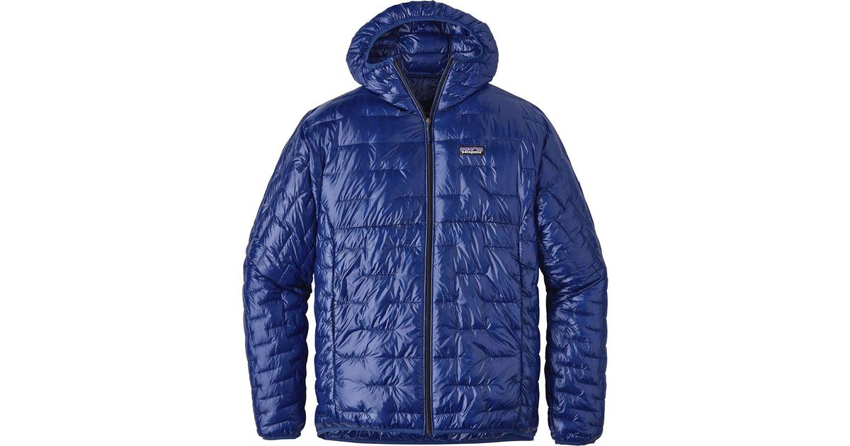 patagonia micro puff hoody viking blue