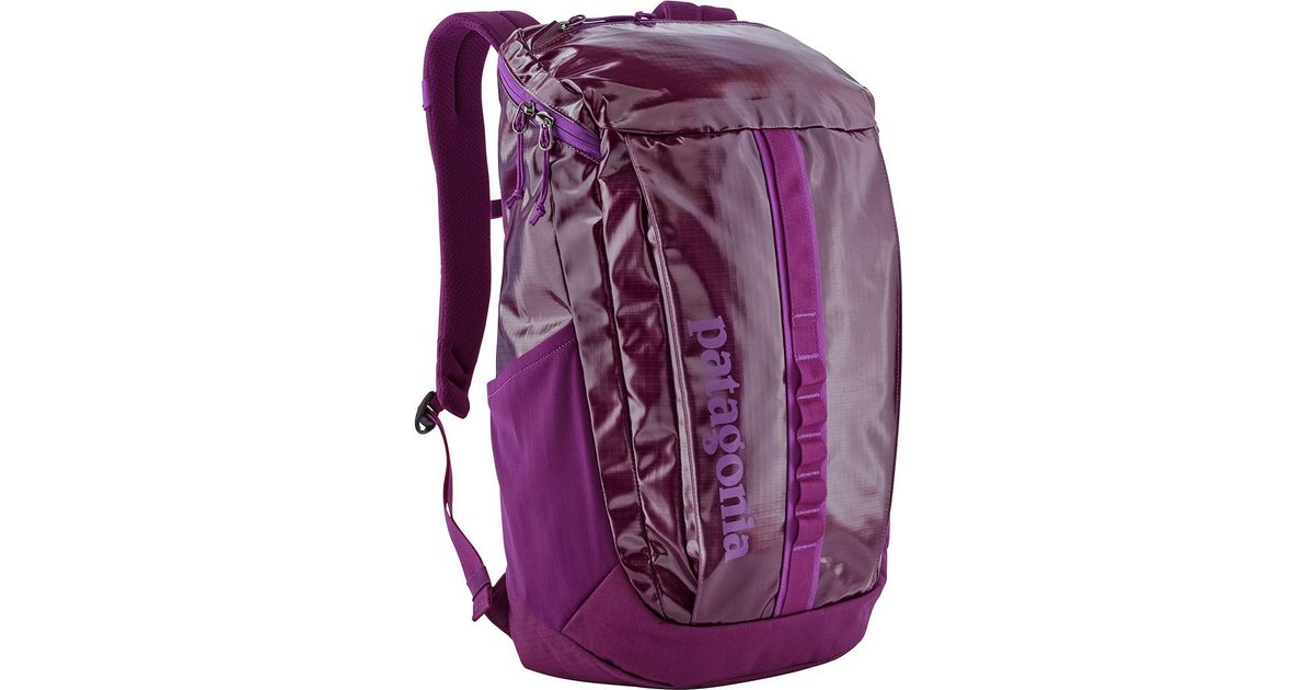 Patagonia backpack purple best sale