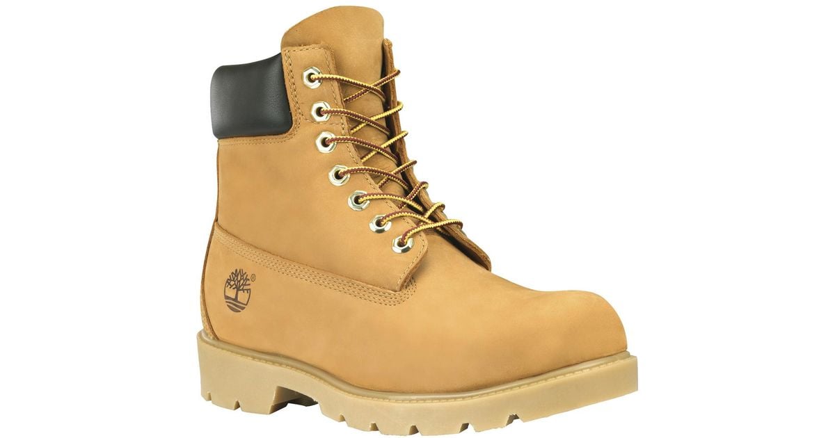 timberland 6 in basic