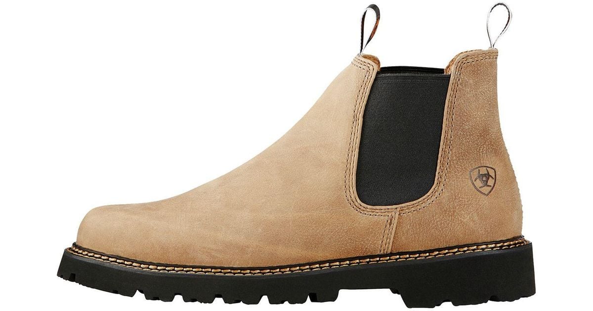 ariat spot hog