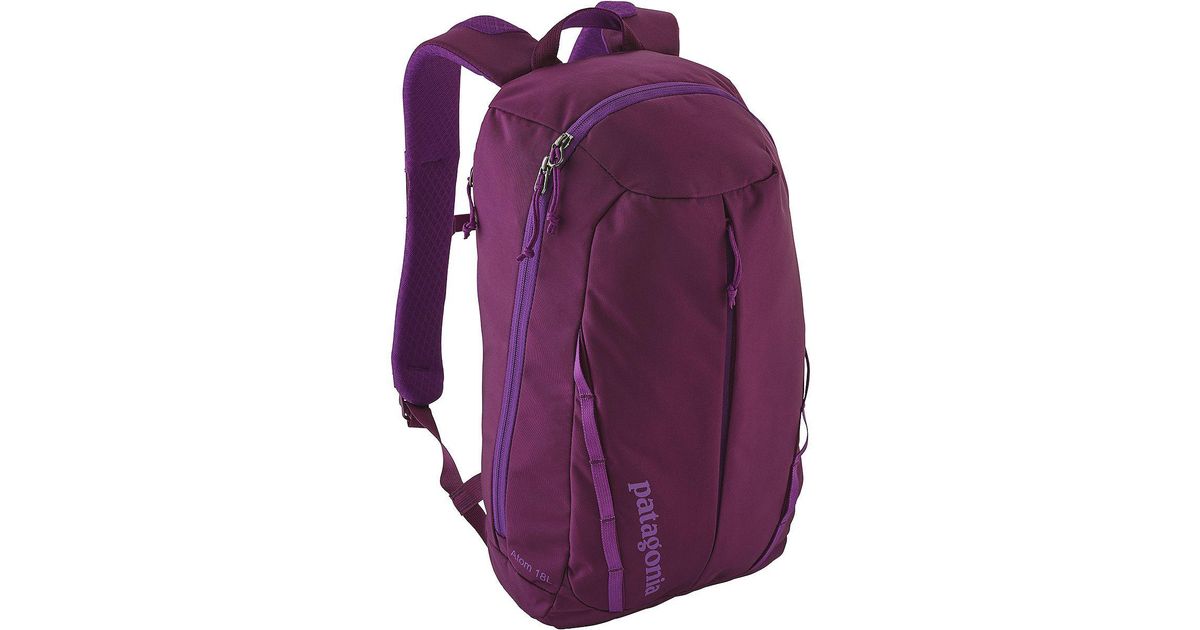 purple patagonia backpack