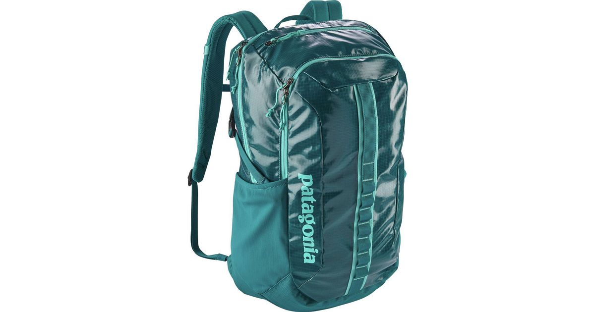 patagonia backpack black hole 30l