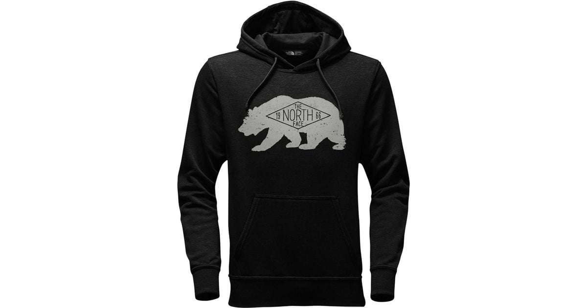 the north face men's bearitage 2.0 hoodie
