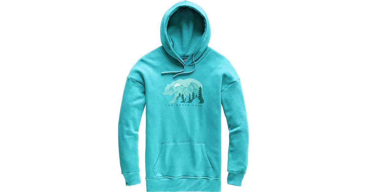 north face bearscape hoodie