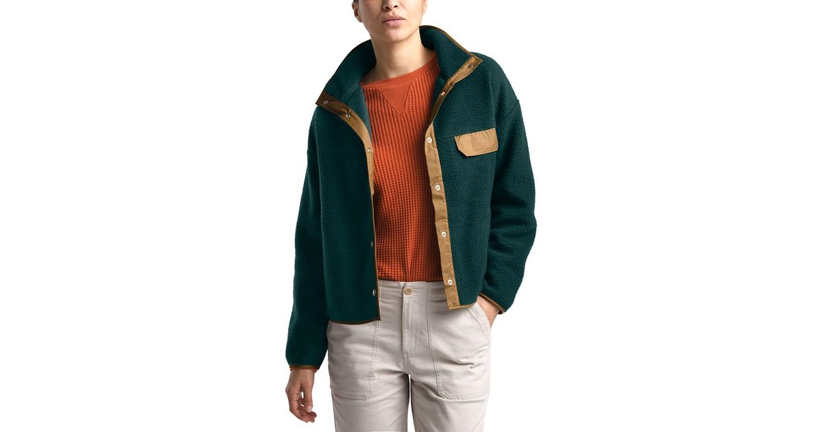 the north face cragmont fleece green