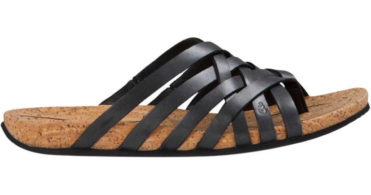 ahnu women's maia thong sandal