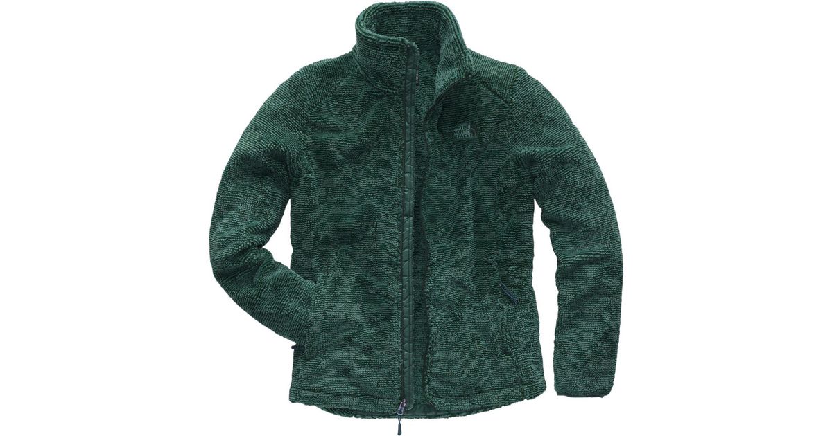 the north face osito 2 fleece jacket