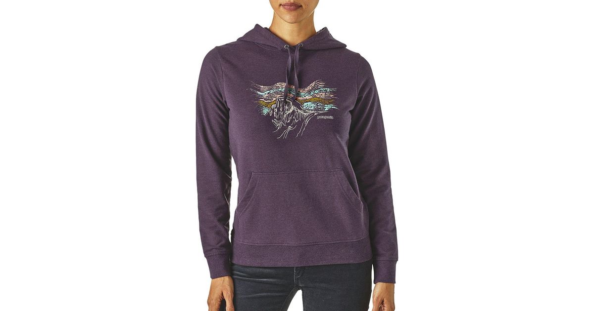 patagonia women's raindrop peak ahnya hoody