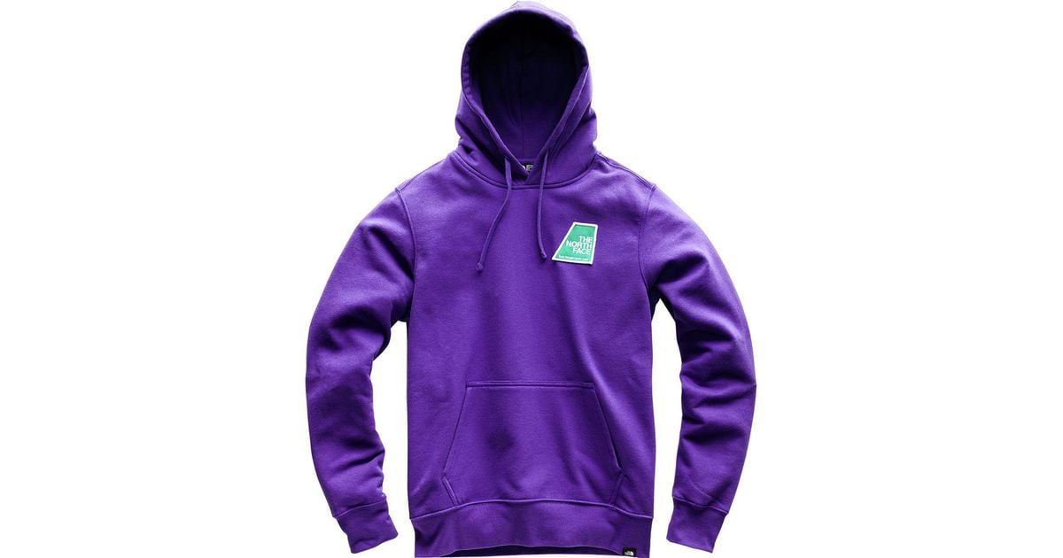 purple north face sweatshirt