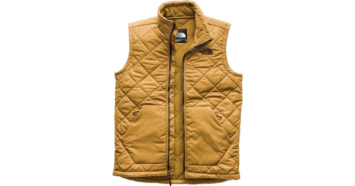 The North Face Synthetic Cervas Vest 