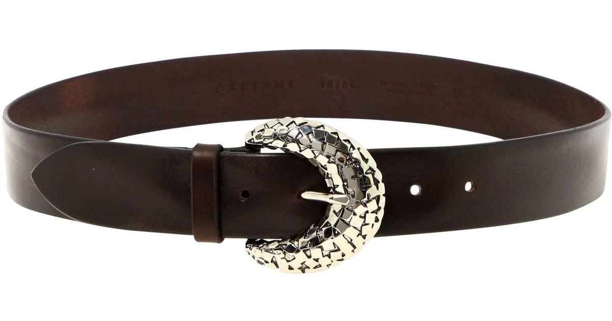 orciani belt