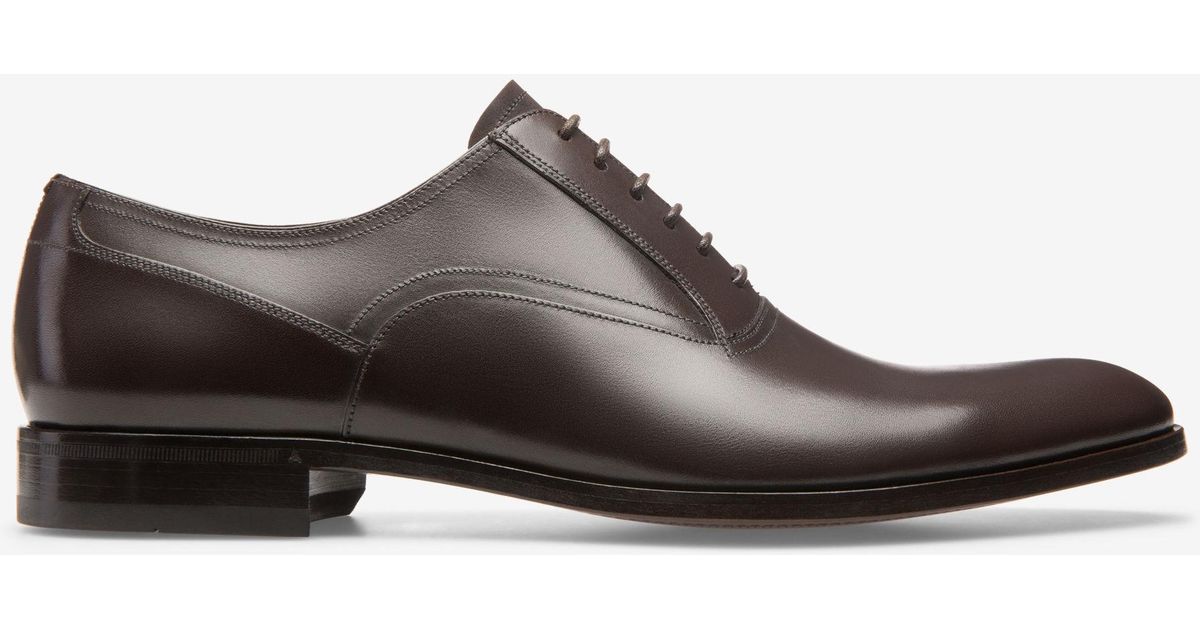 bally bromiel