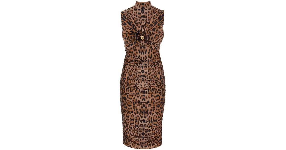Roberto Cavalli Jaguar Dress With Panther Head in Brown | Lyst