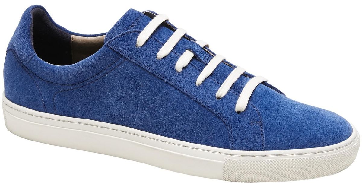 nicklas suede sneaker