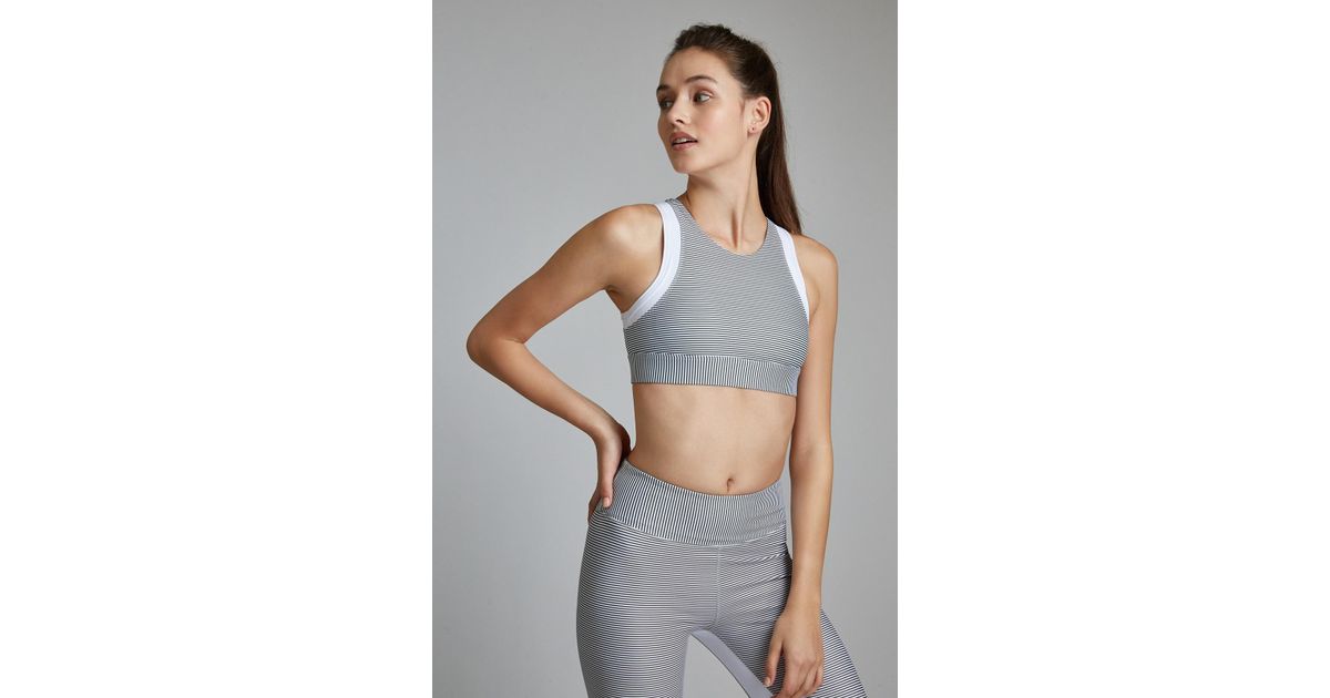 all fenix sports bra