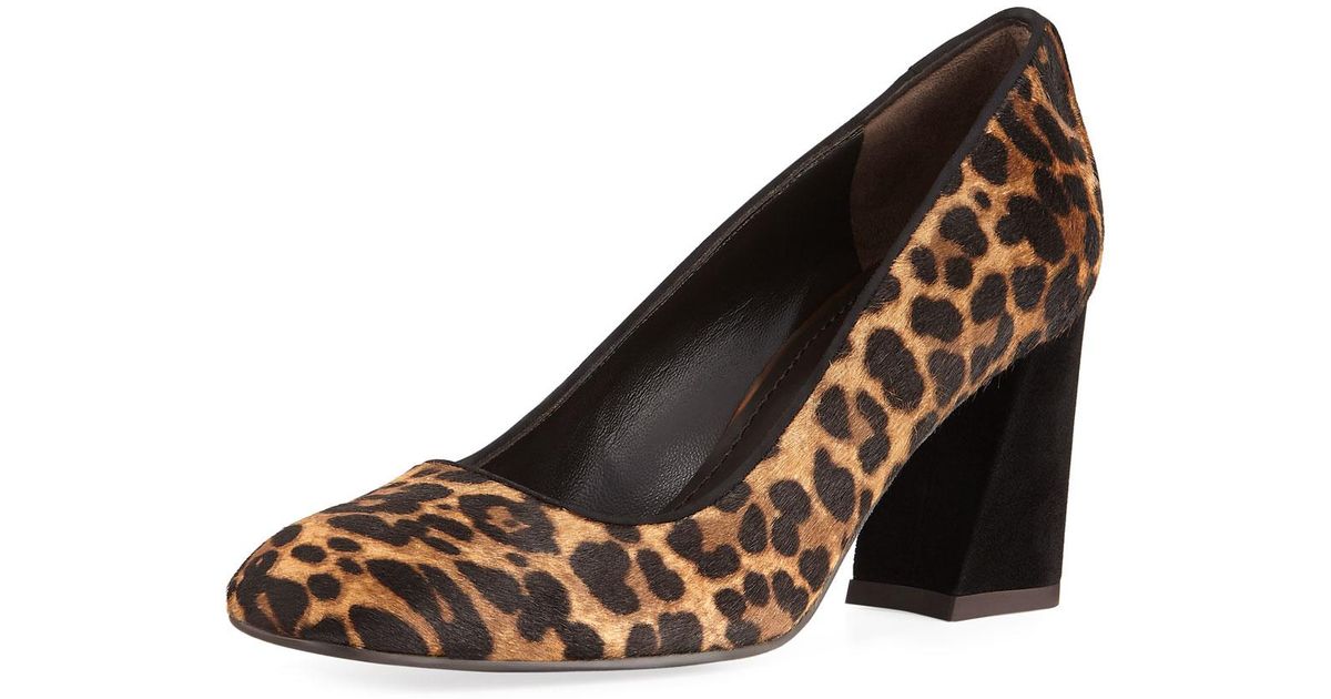 stuart weitzman leopard pumps